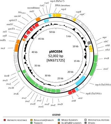 Identification of a Novel Plasmid Lineage Associated With the Dissemination of Metallo-β-Lactamase Genes Among Pseudomonads